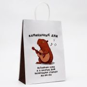 Пакет подарочный бумажный, «Капибарные дни», 24 х 10,5 х 32 см