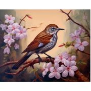 Картина по номерам «Птичка и розовые цветы» 40x50 см