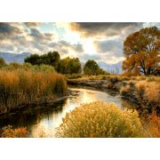 Картина по номерам «Пейзаж с осенней рекой» 40x50 см